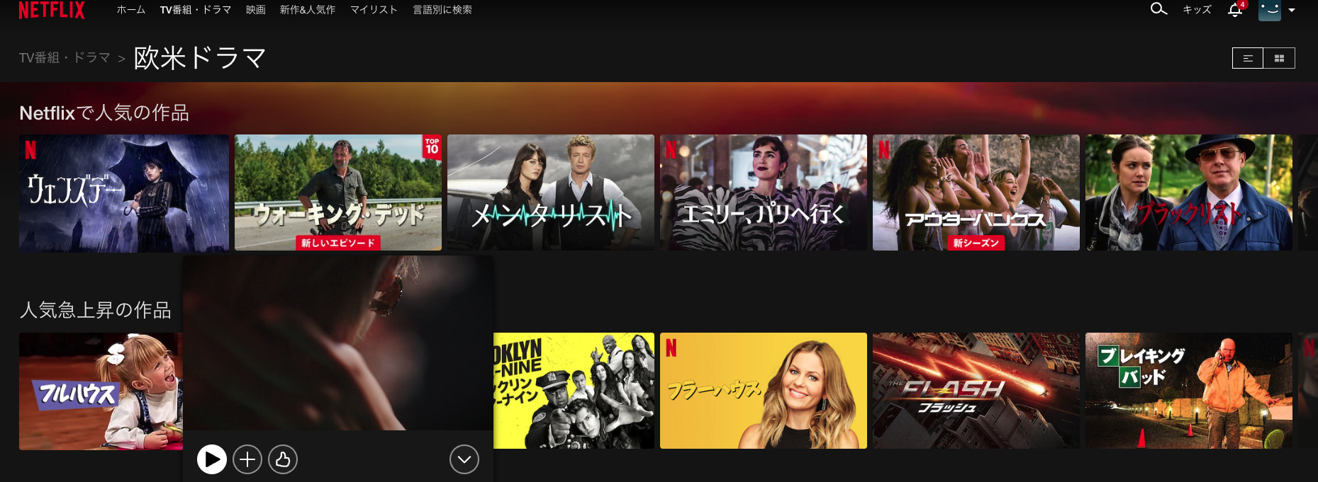 Netflix利用画面