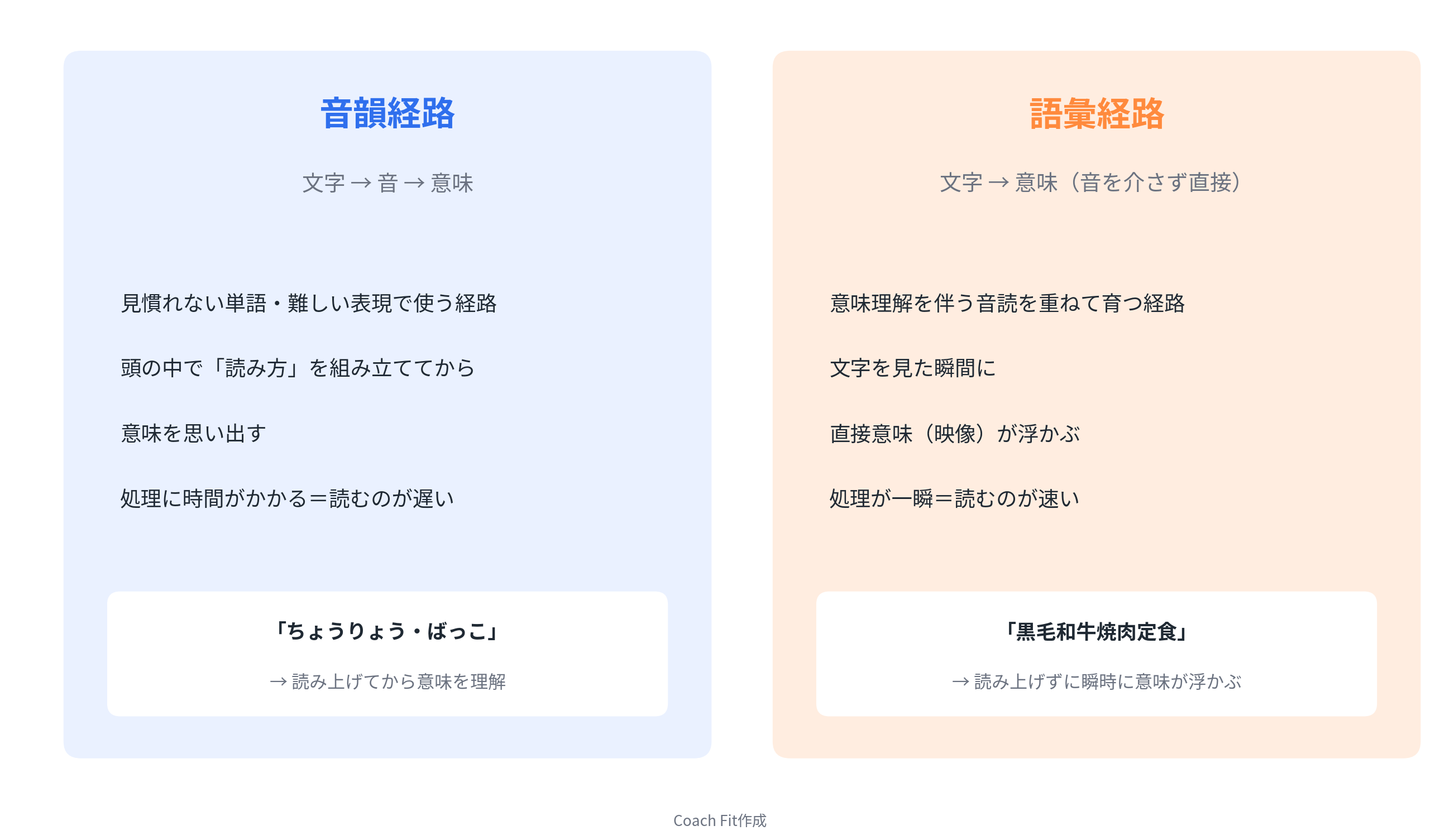 音韻経路 vs 語彙経路